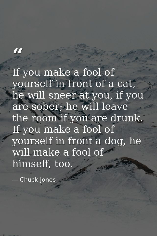 If you make a fool of yourself in front of a cat, he will sneer at you, if you are sober; he will leave the room if you  — Chuck Jones