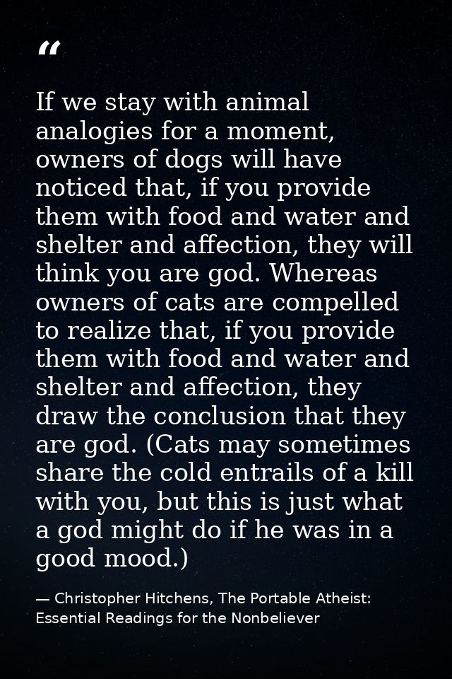 If we stay with animal analogies for a moment, owners of dogs will have noticed that, if you provide them with food and  — Christopher Hitchens, The Portable Atheist: Essential Readings for the Nonbeliever