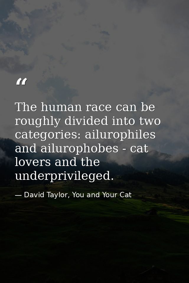 The human race can be roughly divided into two categories: ailurophiles and ailurophobes - cat lovers and the underprivi — David Taylor, You and Your Cat