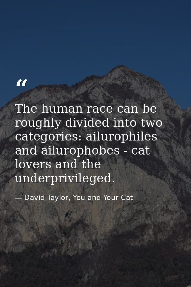 The human race can be roughly divided into two categories: ailurophiles and ailurophobes - cat lovers and the underprivi — David Taylor, You and Your Cat