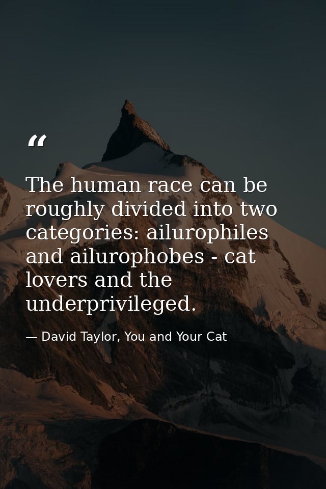 The human race can be roughly divided into two categories: ailurophiles and ailurophobes - cat lovers and the underprivi — David Taylor, You and Your Cat