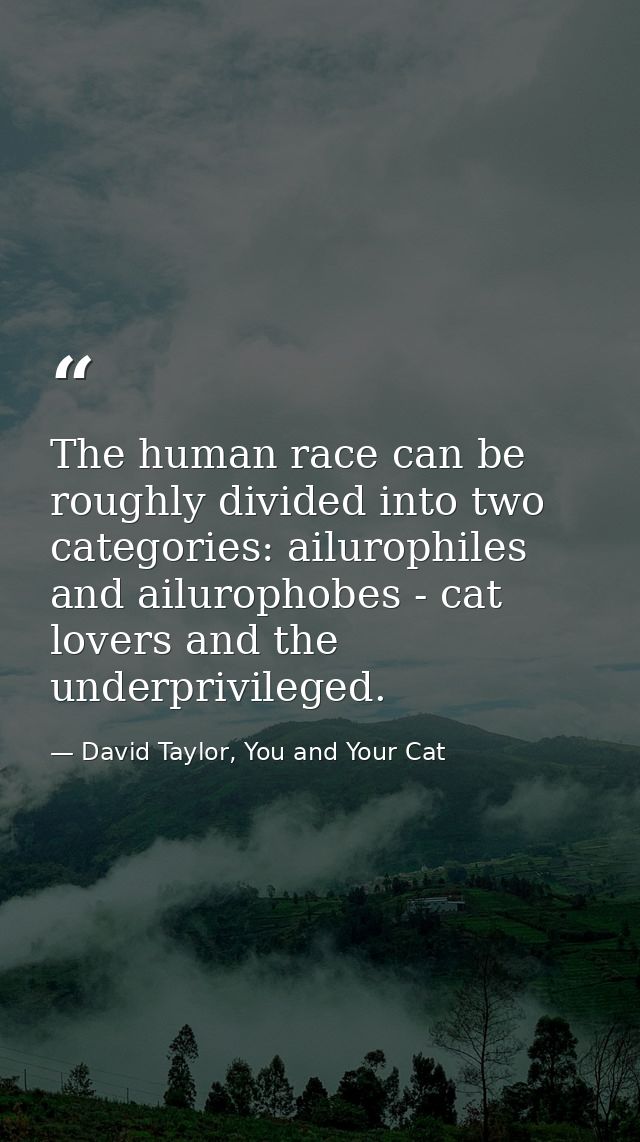The human race can be roughly divided into two categories: ailurophiles and ailurophobes - cat lovers and the underprivi — David Taylor, You and Your Cat