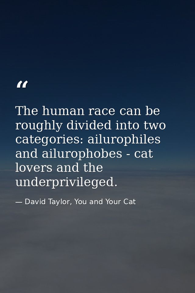 The human race can be roughly divided into two categories: ailurophiles and ailurophobes - cat lovers and the underprivi — David Taylor, You and Your Cat