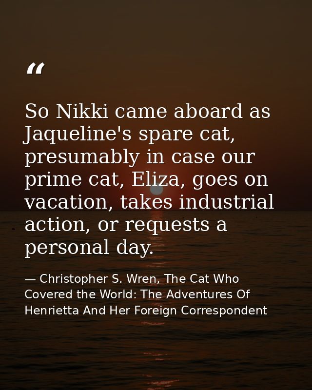 So Nikki came aboard as Jaqueline's spare cat, presumably in case our prime cat, Eliza, goes on vacation, takes industri — Christopher S. Wren, The Cat Who Covered the World: The Adventures Of Henrietta And Her Foreign Correspondent