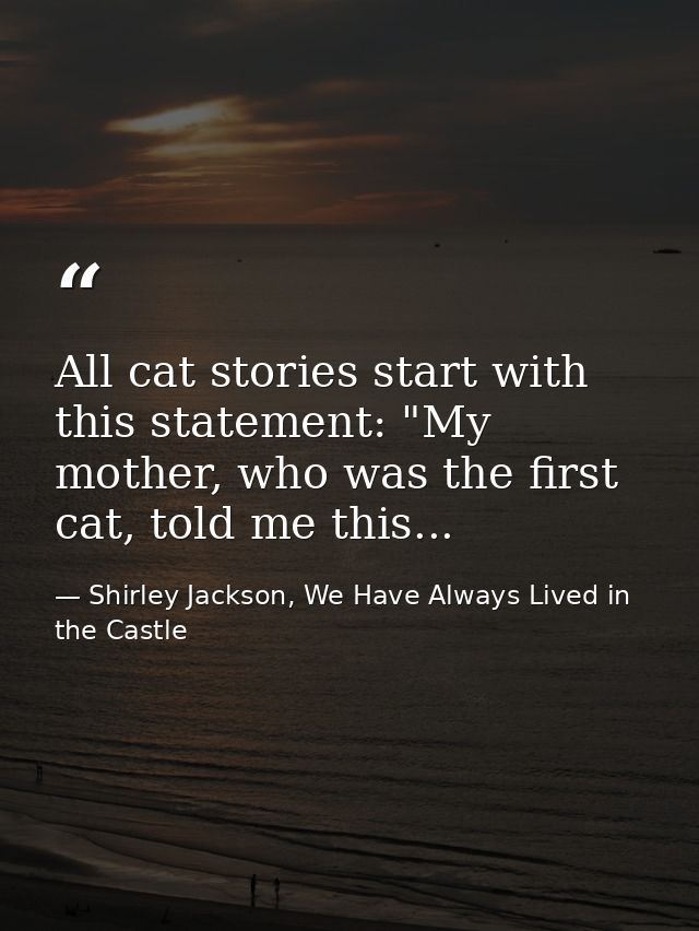 All cat stories start with this statement: "My mother, who was the first cat, told me this... — Shirley Jackson, We Have Always Lived in the Castle