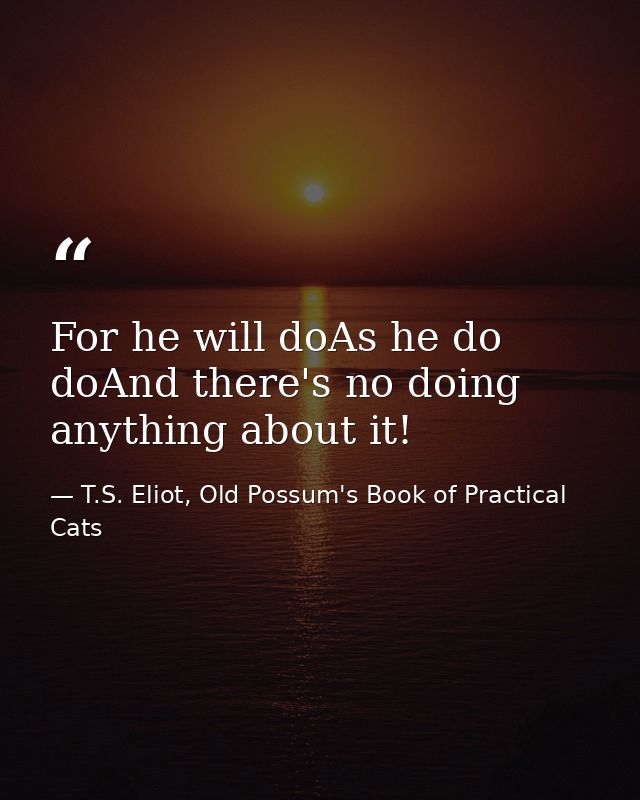 For he will doAs he do doAnd there's no doing anything about it! — T.S. Eliot, Old Possum's Book of Practical Cats
