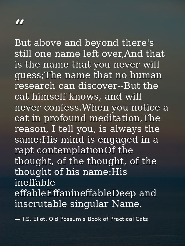 But above and beyond there's still one name left over,And that is the name that you never will guess;The name that no hu — T.S. Eliot, Old Possum's Book of Practical Cats
