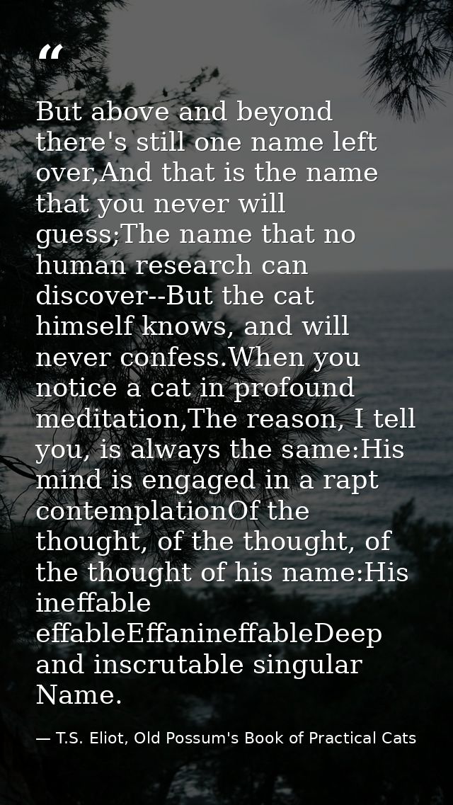 But above and beyond there's still one name left over,And that is the name that you never will guess;The name that no hu — T.S. Eliot, Old Possum's Book of Practical Cats