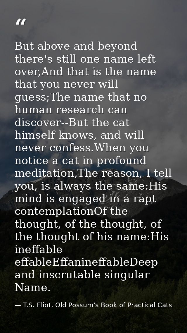 But above and beyond there's still one name left over,And that is the name that you never will guess;The name that no hu — T.S. Eliot, Old Possum's Book of Practical Cats