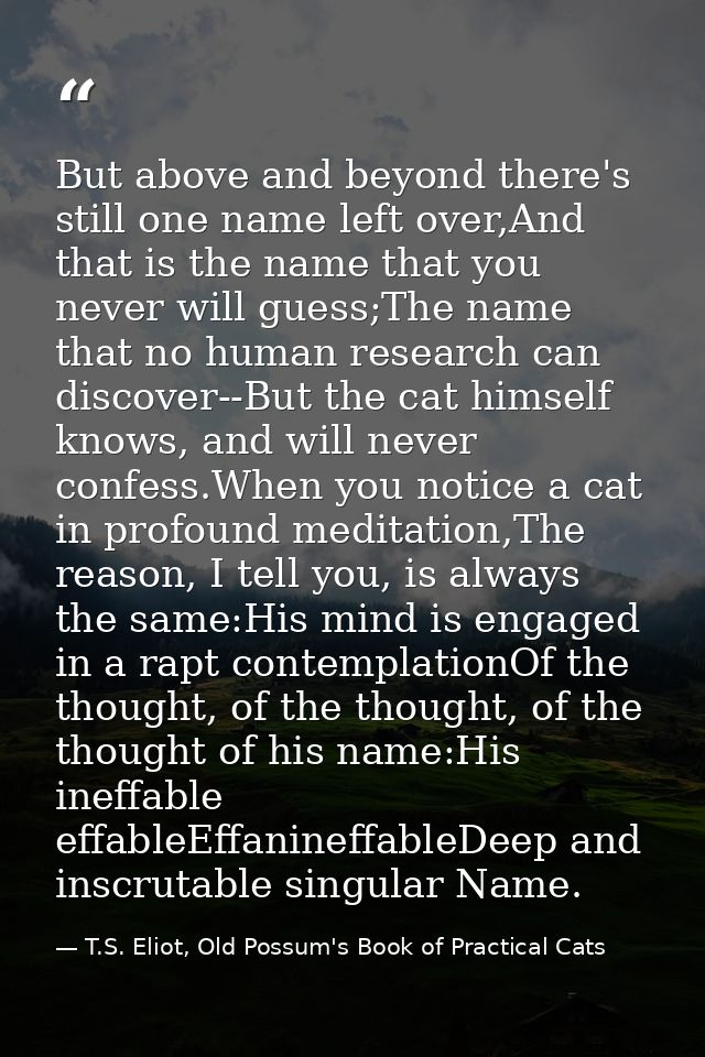 But above and beyond there's still one name left over,And that is the name that you never will guess;The name that no hu — T.S. Eliot, Old Possum's Book of Practical Cats