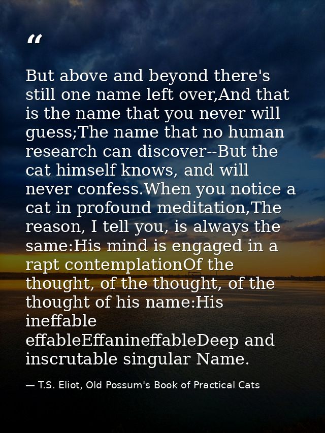 But above and beyond there's still one name left over,And that is the name that you never will guess;The name that no hu — T.S. Eliot, Old Possum's Book of Practical Cats