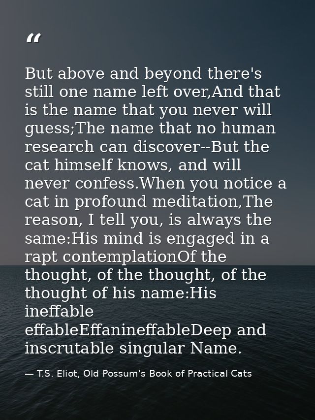 But above and beyond there's still one name left over,And that is the name that you never will guess;The name that no hu — T.S. Eliot, Old Possum's Book of Practical Cats