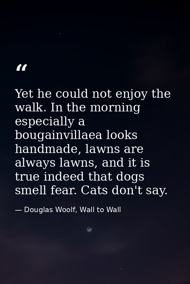 Yet he could not enjoy the walk. In the morning especially a bougainvillaea looks handmade, lawns are always lawns, and  — Douglas Woolf, Wall to Wall