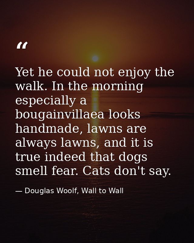 Yet he could not enjoy the walk. In the morning especially a bougainvillaea looks handmade, lawns are always lawns, and  — Douglas Woolf, Wall to Wall