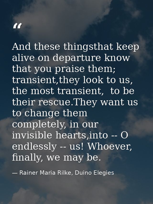 And these thingsthat keep alive on departure know that you praise them; transient,they look to us, the most transient,   — Rainer Maria Rilke, Duino Elegies