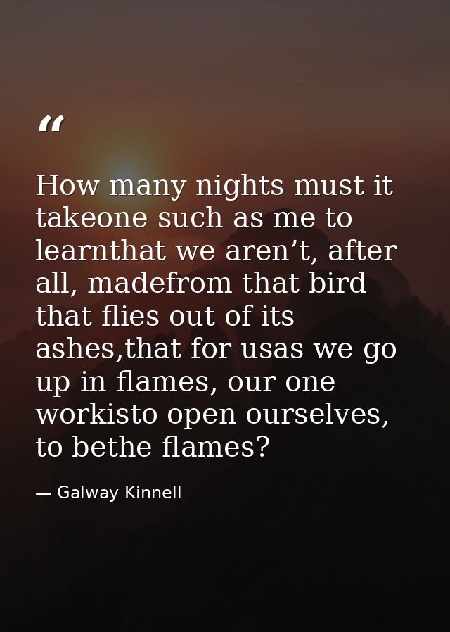 How many nights must it takeone such as me to learnthat we aren’t, after all, madefrom that bird that flies out of its a — Galway Kinnell