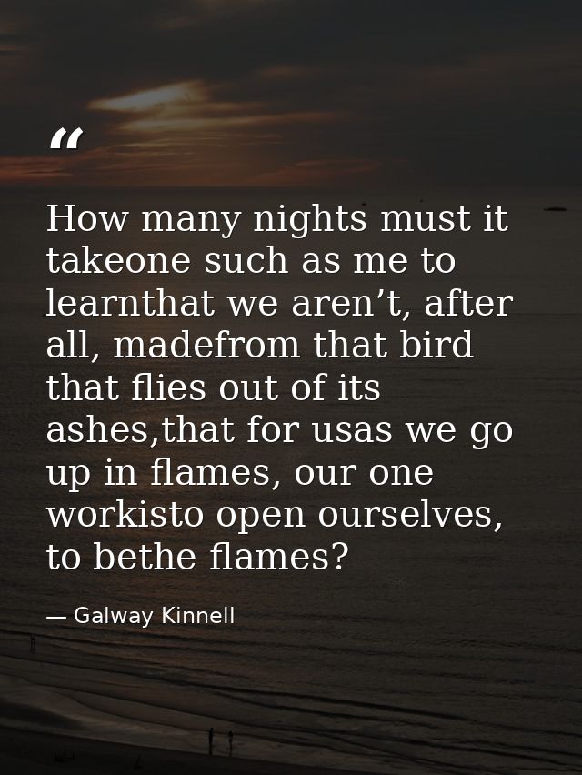 How many nights must it takeone such as me to learnthat we aren’t, after all, madefrom that bird that flies out of its a — Galway Kinnell