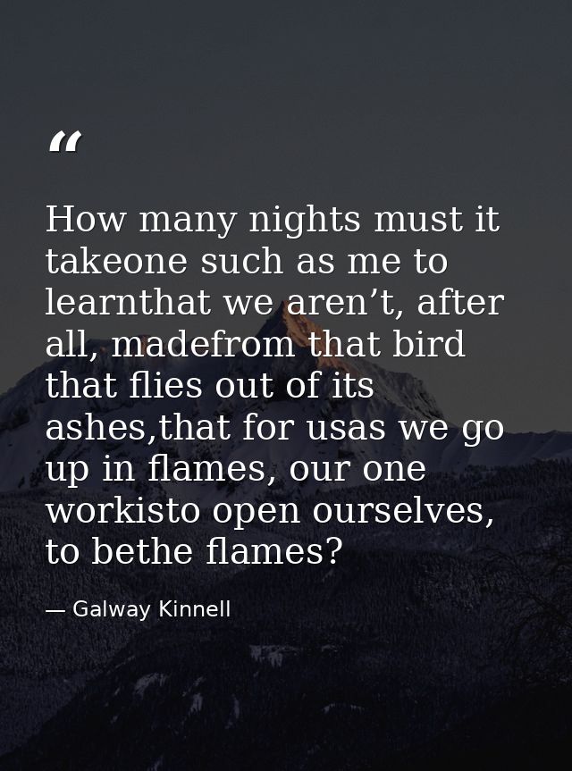 How many nights must it takeone such as me to learnthat we aren’t, after all, madefrom that bird that flies out of its a — Galway Kinnell