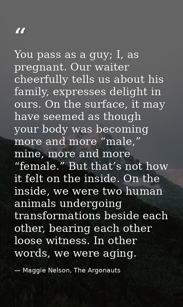 You pass as a guy; I, as pregnant. Our waiter cheerfully tells us about his family, expresses delight in ours. On the su — Maggie Nelson, The Argonauts