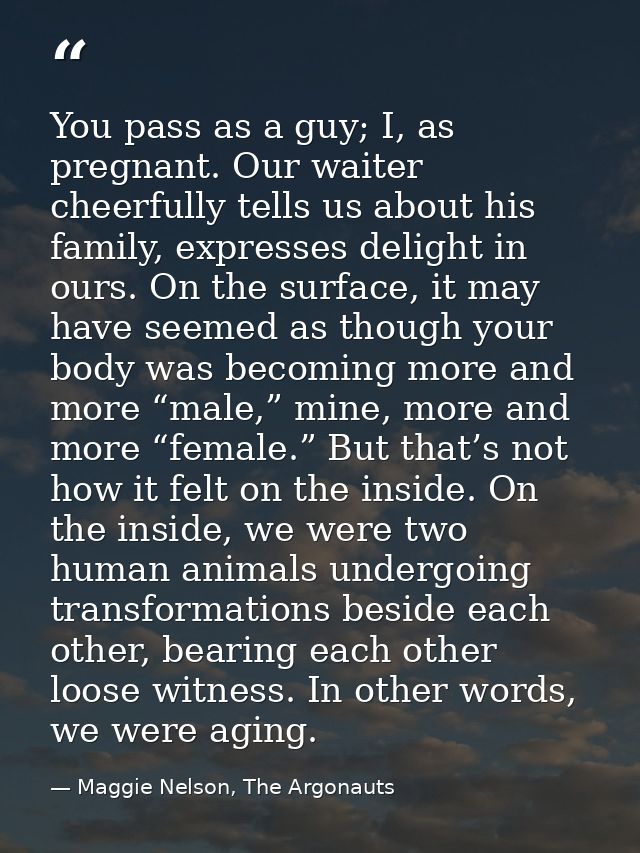 You pass as a guy; I, as pregnant. Our waiter cheerfully tells us about his family, expresses delight in ours. On the su — Maggie Nelson, The Argonauts