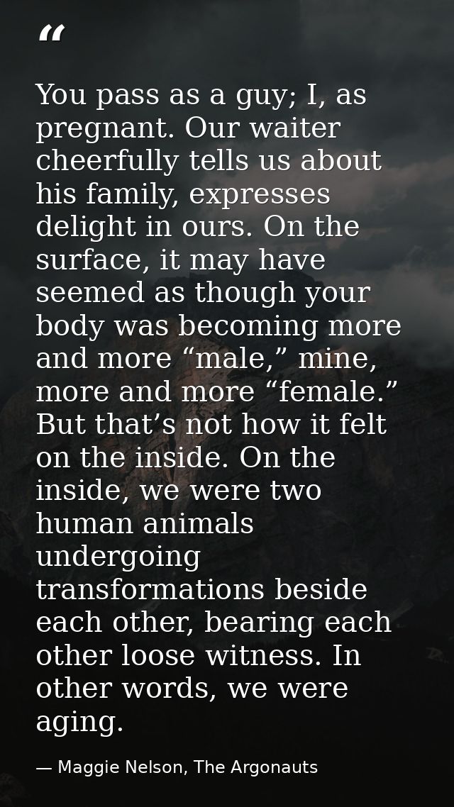 You pass as a guy; I, as pregnant. Our waiter cheerfully tells us about his family, expresses delight in ours. On the su — Maggie Nelson, The Argonauts