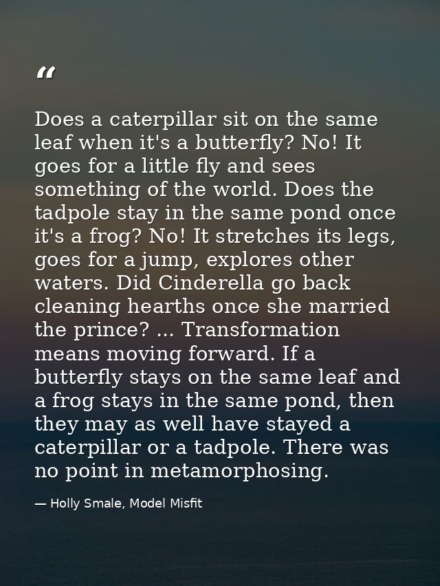 Does a caterpillar sit on the same leaf when it's a butterfly? No! It goes for a little fly and sees something of the wo — Holly Smale, Model Misfit