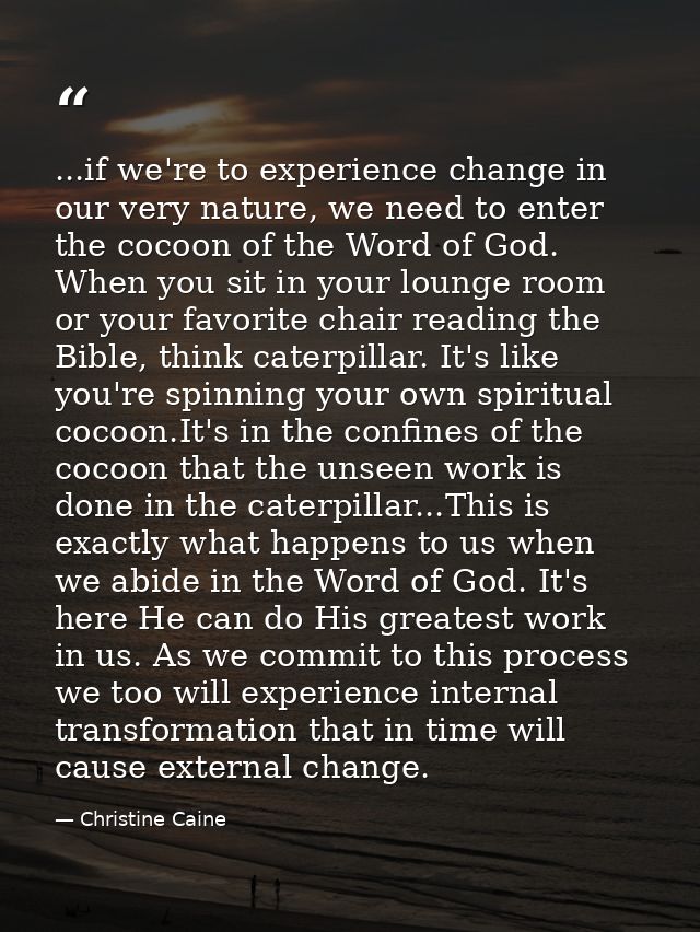 ...if we're to experience change in our very nature, we need to enter the cocoon of the Word of God. When you sit in you — Christine Caine