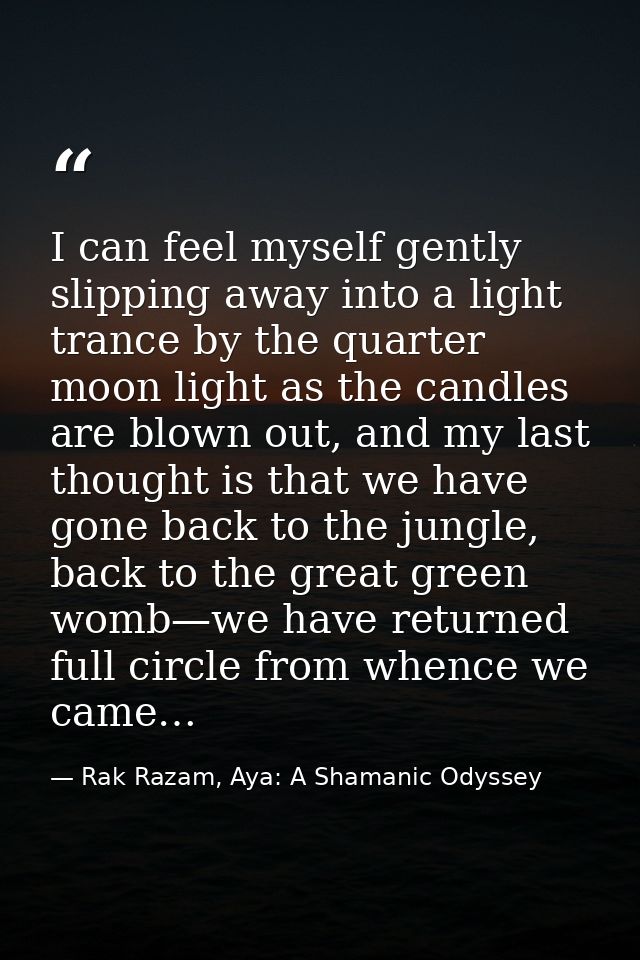 I can feel myself gently slipping away into a light trance by the quarter moon light as the candles are blown out, and m — Rak Razam, Aya: A Shamanic Odyssey