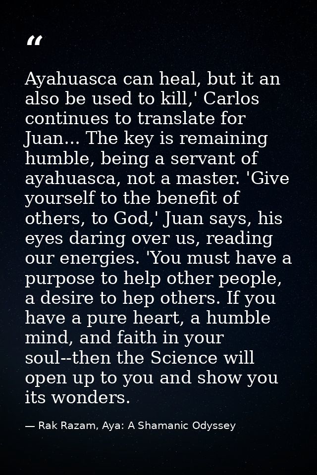 Ayahuasca can heal, but it an also be used to kill,' Carlos continues to translate for Juan... The key is remaining humb — Rak Razam, Aya: A Shamanic Odyssey