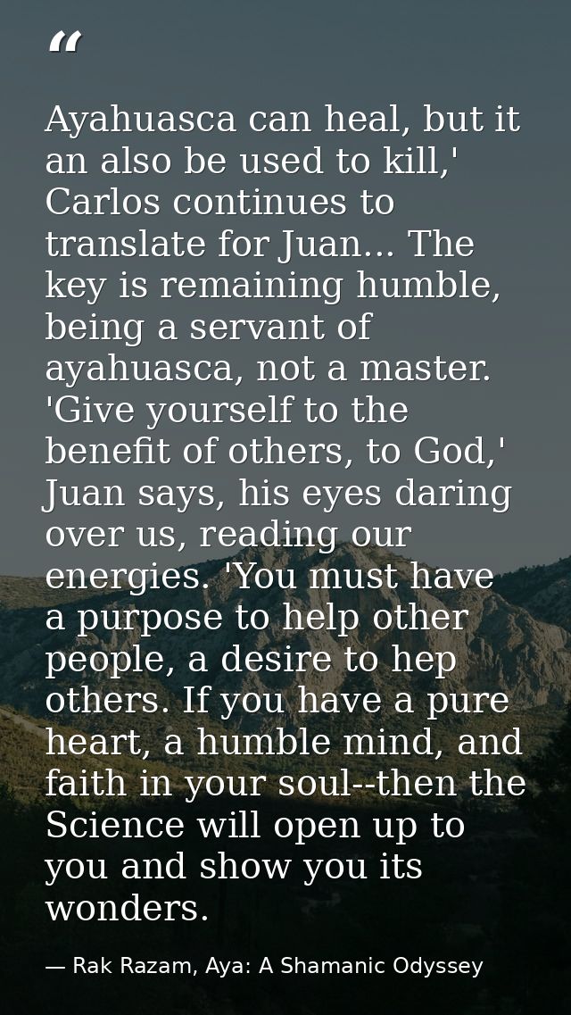 Ayahuasca can heal, but it an also be used to kill,' Carlos continues to translate for Juan... The key is remaining humb — Rak Razam, Aya: A Shamanic Odyssey