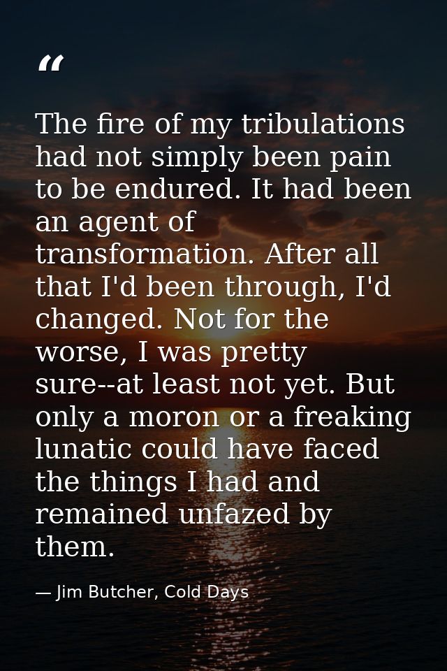 The fire of my tribulations had not simply been pain to be endured. It had been an agent of transformation. After all th — Jim Butcher, Cold Days