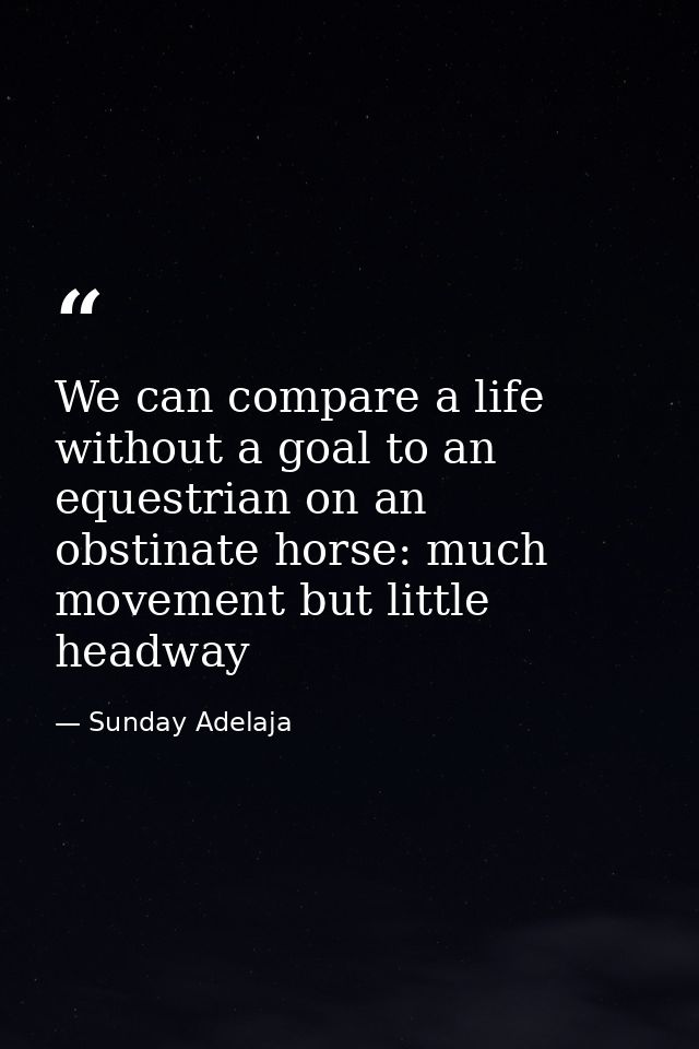 We can compare a life without a goal to an equestrian on an obstinate horse: much movement but little headway — Sunday Adelaja