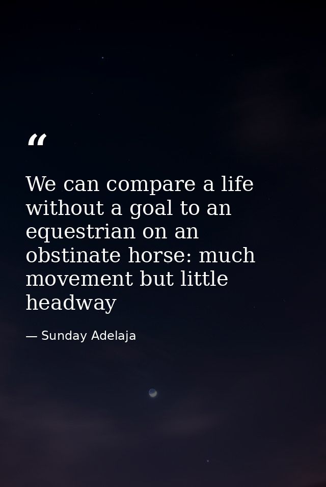 We can compare a life without a goal to an equestrian on an obstinate horse: much movement but little headway — Sunday Adelaja