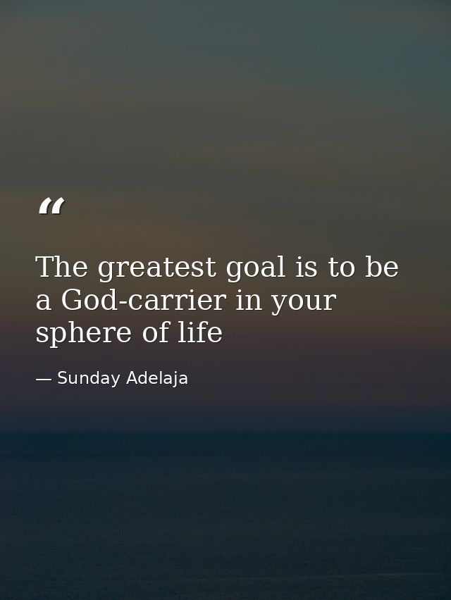 The greatest goal is to be a God-carrier in your sphere of life — Sunday Adelaja