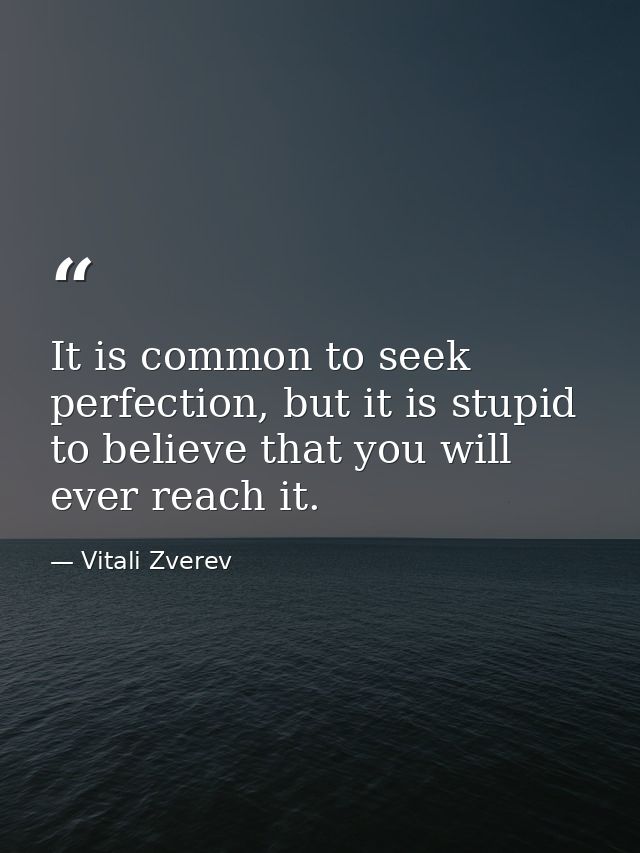 It is common to seek perfection, but it is stupid to believe that you will ever reach it. — Vitali Zverev