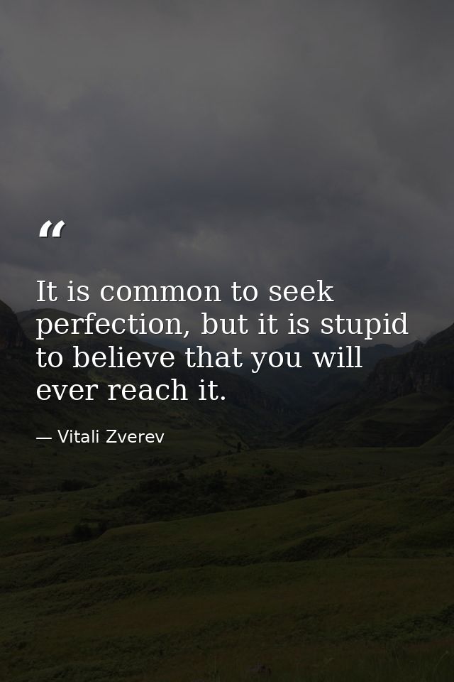 It is common to seek perfection, but it is stupid to believe that you will ever reach it. — Vitali Zverev