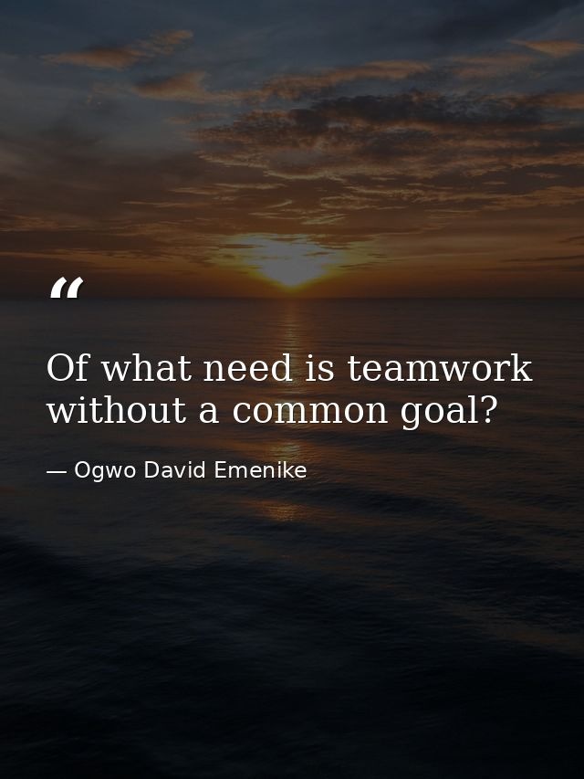 Of what need is teamwork without a common goal? — Ogwo David Emenike