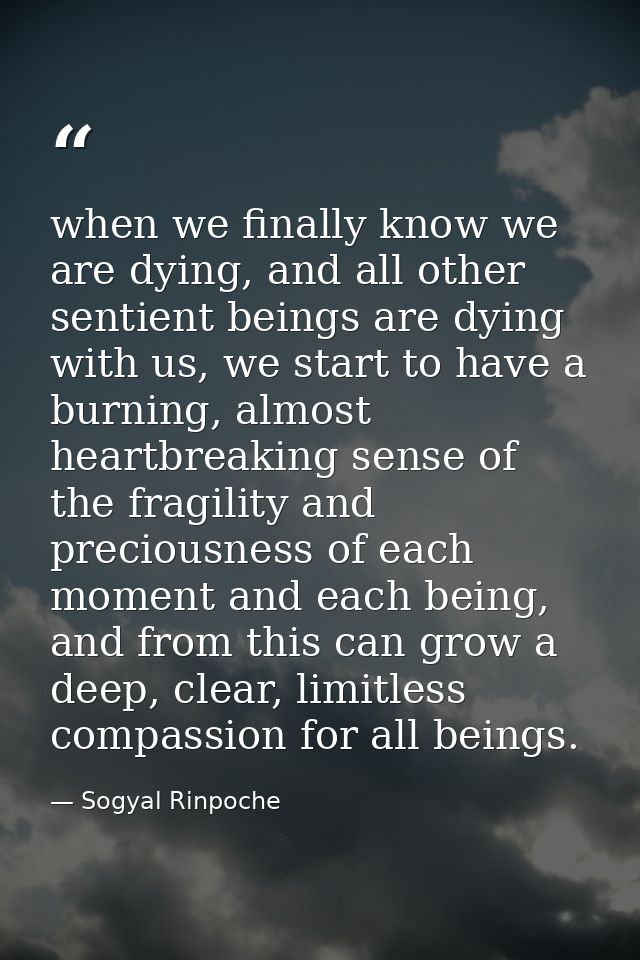 when we finally know we are dying, and all other sentient beings are dying with us, we start to have a burning, almost h — Sogyal Rinpoche