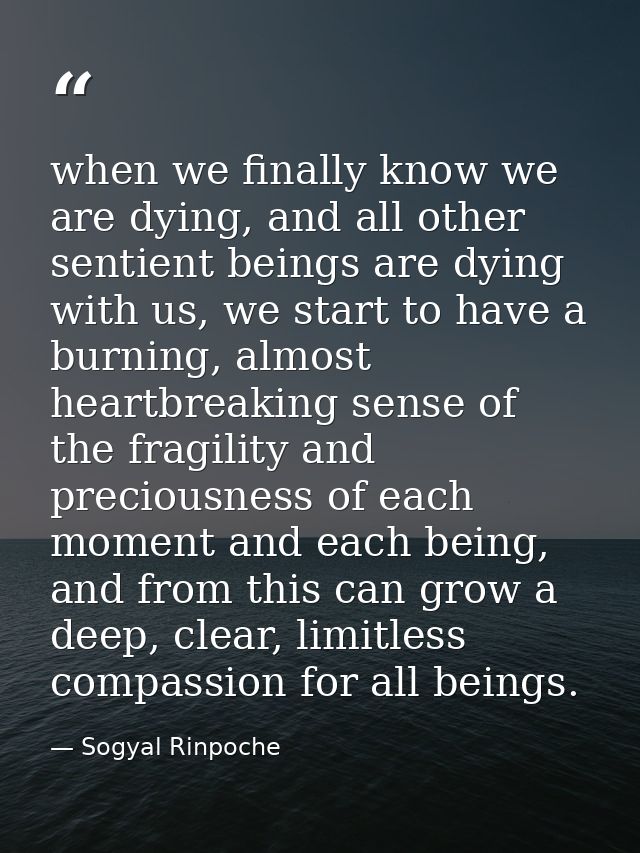 when we finally know we are dying, and all other sentient beings are dying with us, we start to have a burning, almost h — Sogyal Rinpoche
