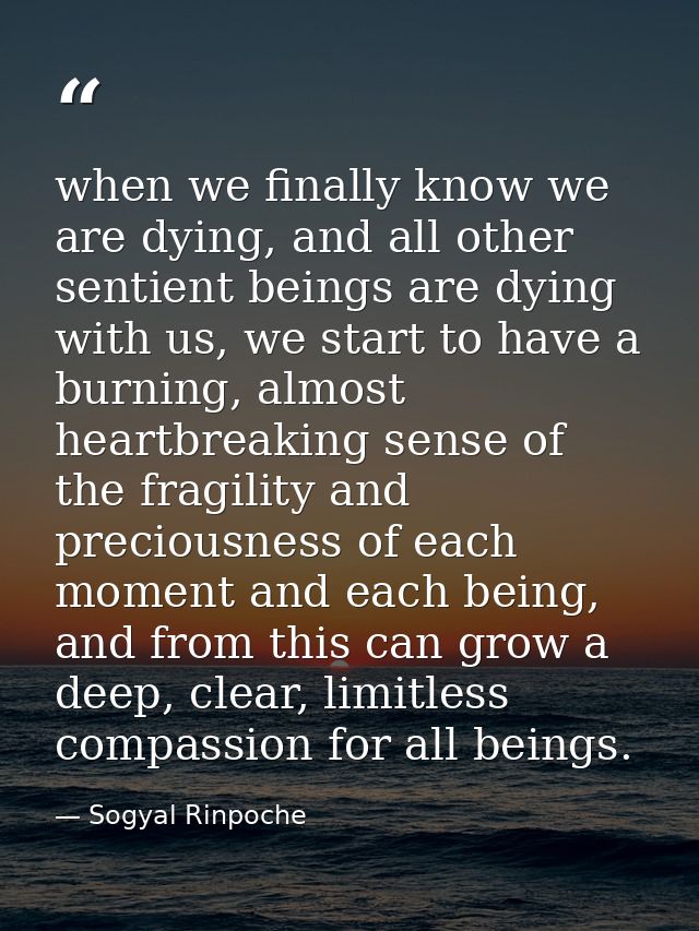 when we finally know we are dying, and all other sentient beings are dying with us, we start to have a burning, almost h — Sogyal Rinpoche