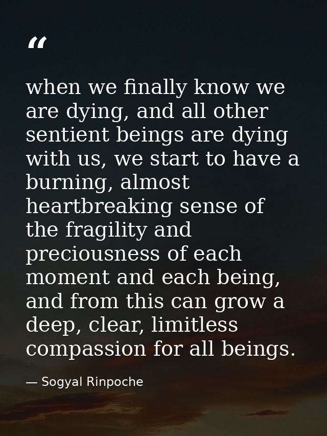 when we finally know we are dying, and all other sentient beings are dying with us, we start to have a burning, almost h — Sogyal Rinpoche