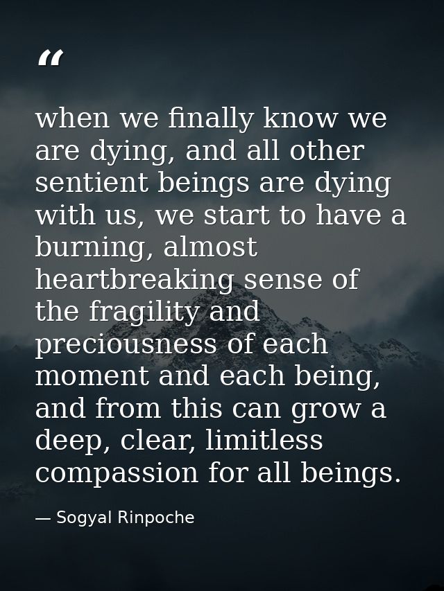 when we finally know we are dying, and all other sentient beings are dying with us, we start to have a burning, almost h — Sogyal Rinpoche
