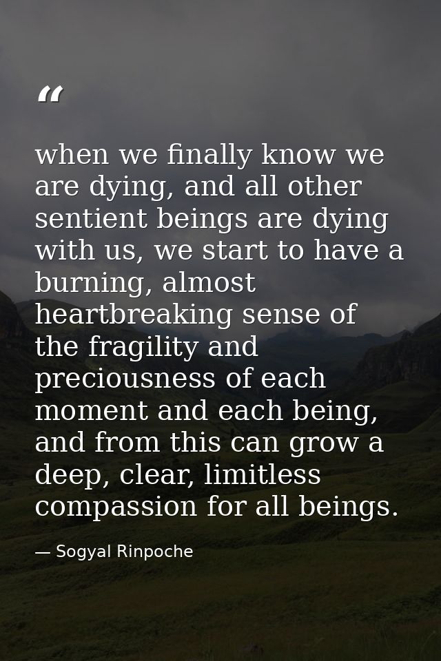when we finally know we are dying, and all other sentient beings are dying with us, we start to have a burning, almost h — Sogyal Rinpoche