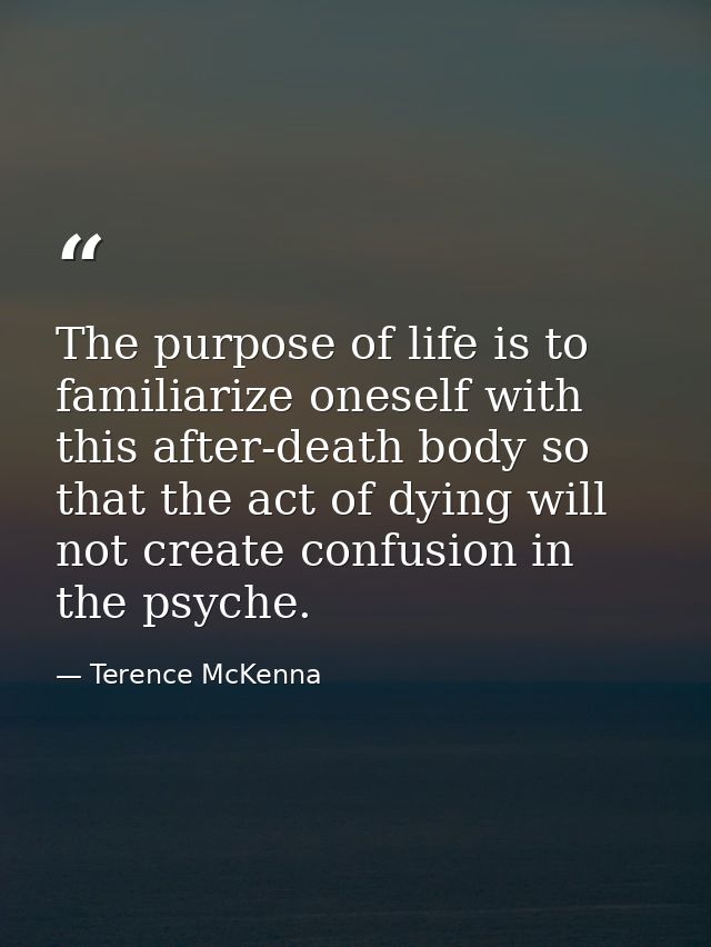 The purpose of life is to familiarize oneself with this after-death body so that the act of dying will not create confus — Terence McKenna