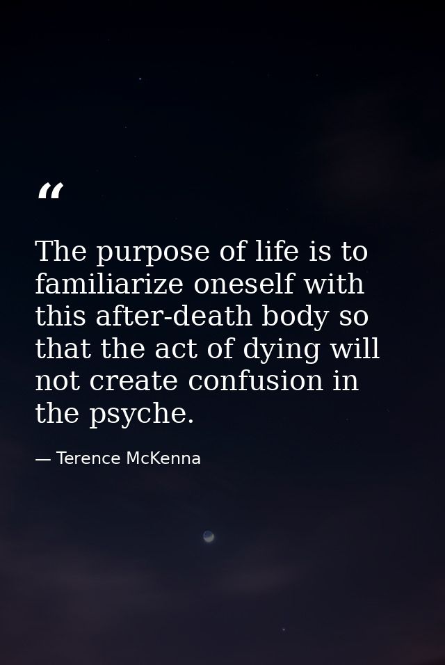 The purpose of life is to familiarize oneself with this after-death body so that the act of dying will not create confus — Terence McKenna