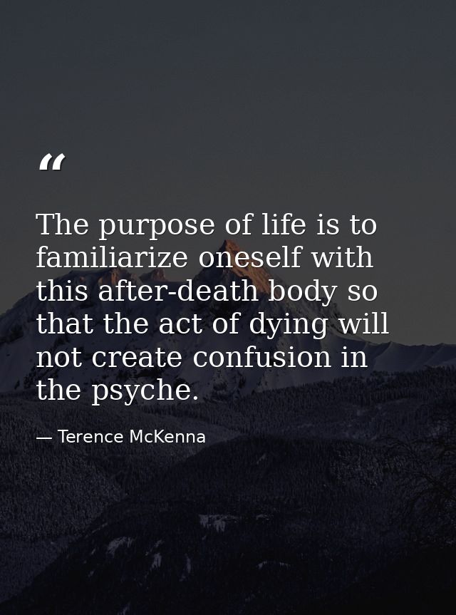 The purpose of life is to familiarize oneself with this after-death body so that the act of dying will not create confus — Terence McKenna
