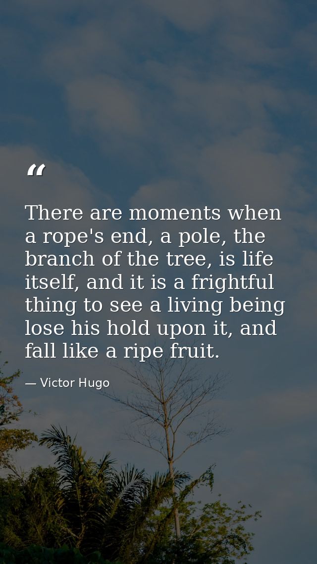 There are moments when a rope's end, a pole, the branch of the tree, is life itself, and it is a frightful thing to see  — Victor Hugo