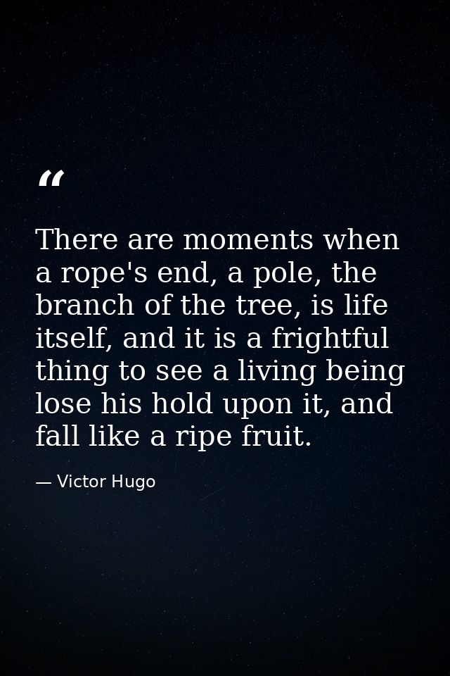 There are moments when a rope's end, a pole, the branch of the tree, is life itself, and it is a frightful thing to see  — Victor Hugo