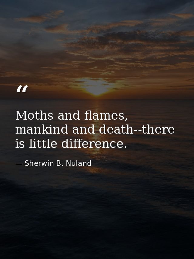 Moths and flames, mankind and death--there is little difference. — Sherwin B. Nuland