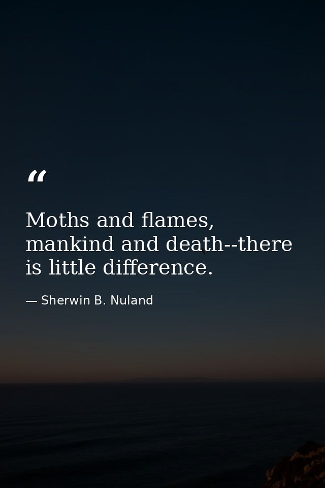 Moths and flames, mankind and death--there is little difference. — Sherwin B. Nuland